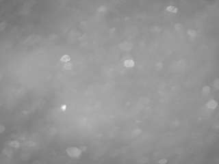 voyeurcam casa salsa pool 1